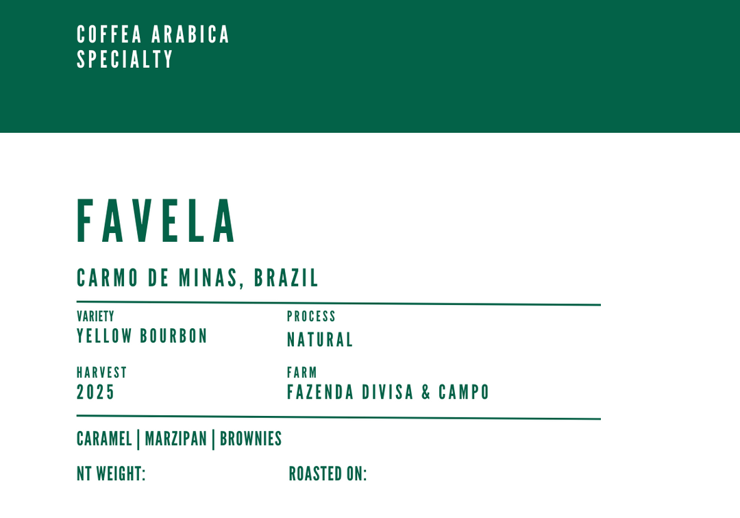 Brazil Favela Natural
