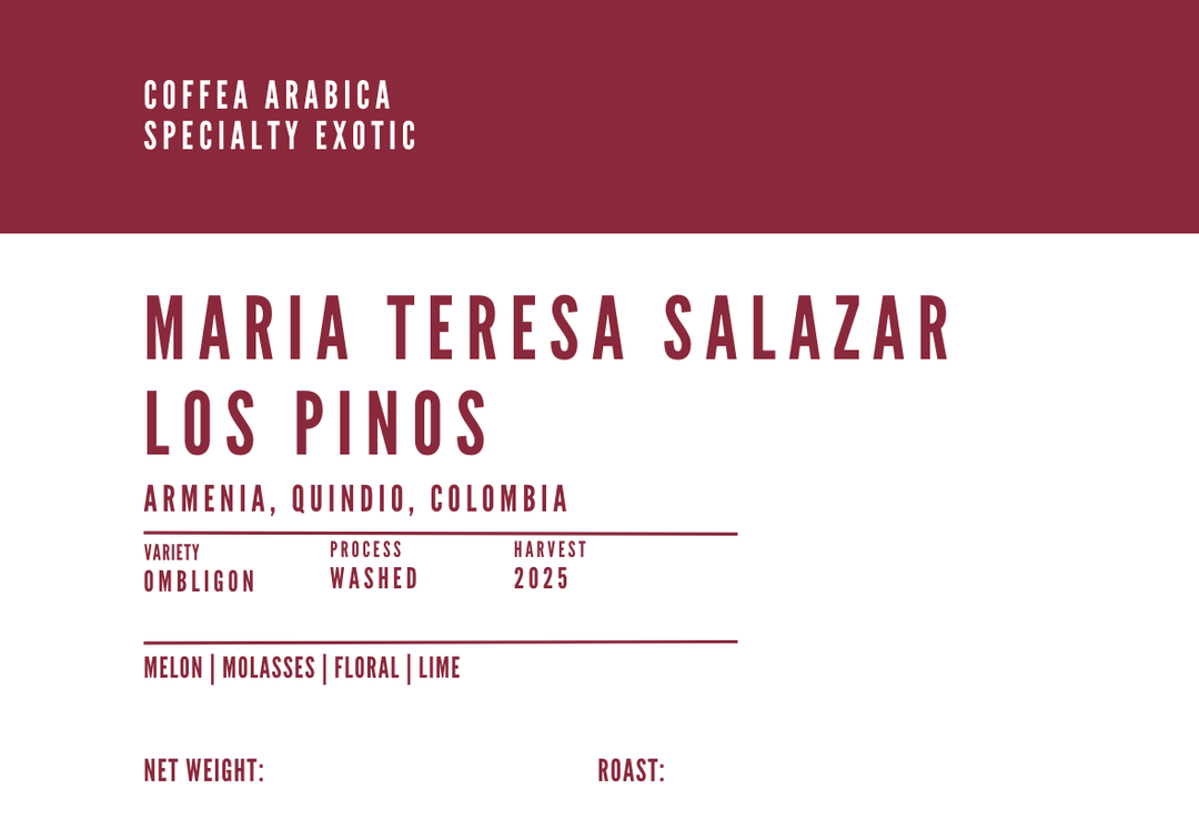 Maria Teresa Salazar - Colombia Ombligon Washed