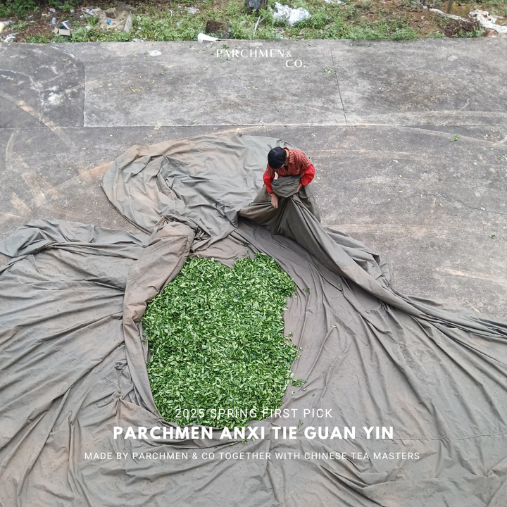 2025 Spring First Pick Tie Guan Yin - Light and Dark Roasted 头采铁观音乌龙春茶 (清香型 / 浓香型)