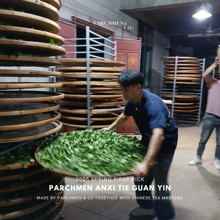 2025 Spring First Pick Tie Guan Yin - Light and Dark Roasted 头采铁观音乌龙春茶 (清香型 / 浓香型)