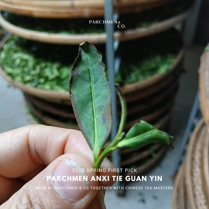 2025 Spring First Pick Tie Guan Yin - Light and Dark Roasted 头采铁观音乌龙春茶 (清香型 / 浓香型)
