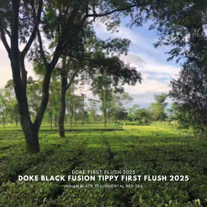 Doke Black Fusion Tippy First Flush Organic 2025