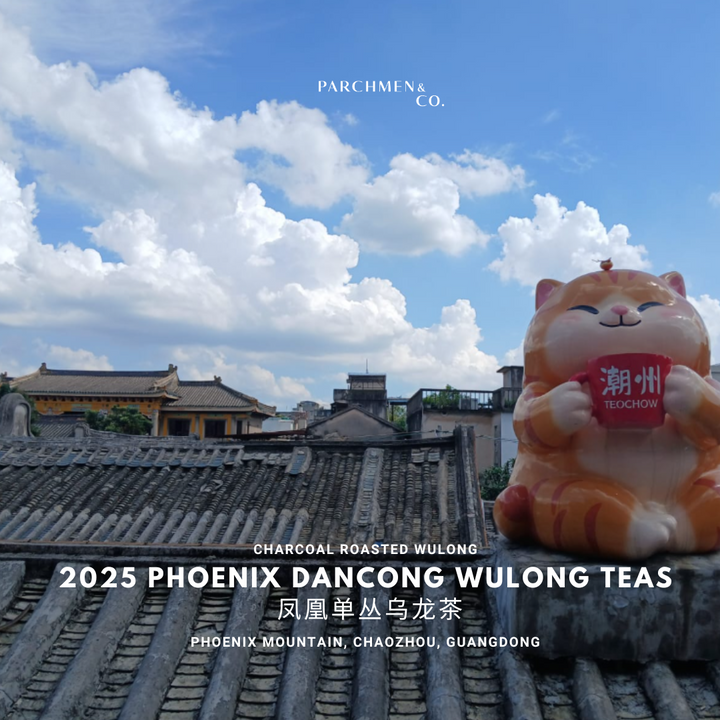 2025 Spring Pheonix Mountain Dancong Wulong Teas 凤凰单丛乌龙茶