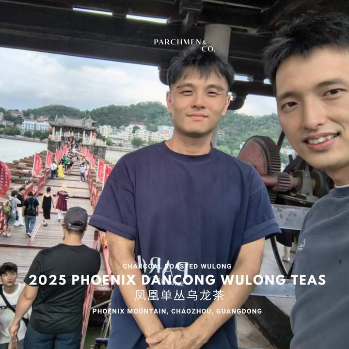 2025 Spring Pheonix Mountain Dancong Wulong Teas 凤凰单丛乌龙茶