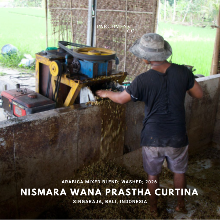 Wana Prastha Curtina Singaraja Bali