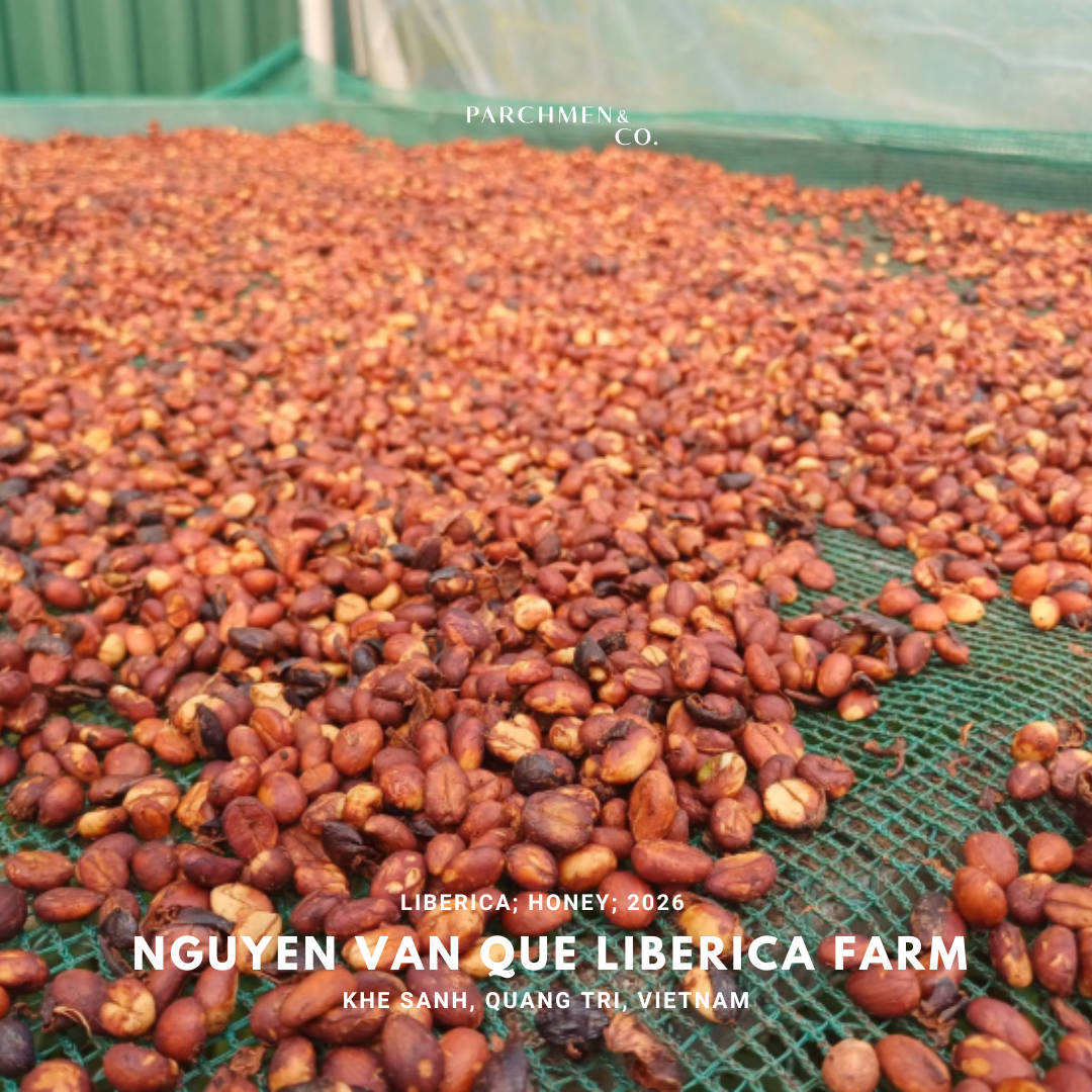 Vietnam Microlot Liberica - Nguyen Van Que Liberica Farm