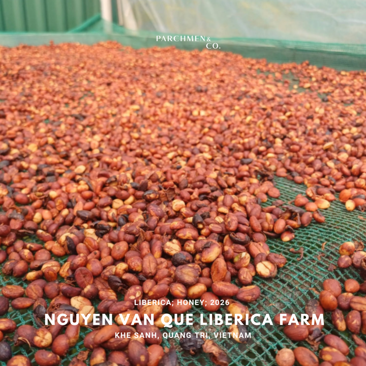 Vietnam Microlot Liberica - Nguyen Van Que Liberica Farm