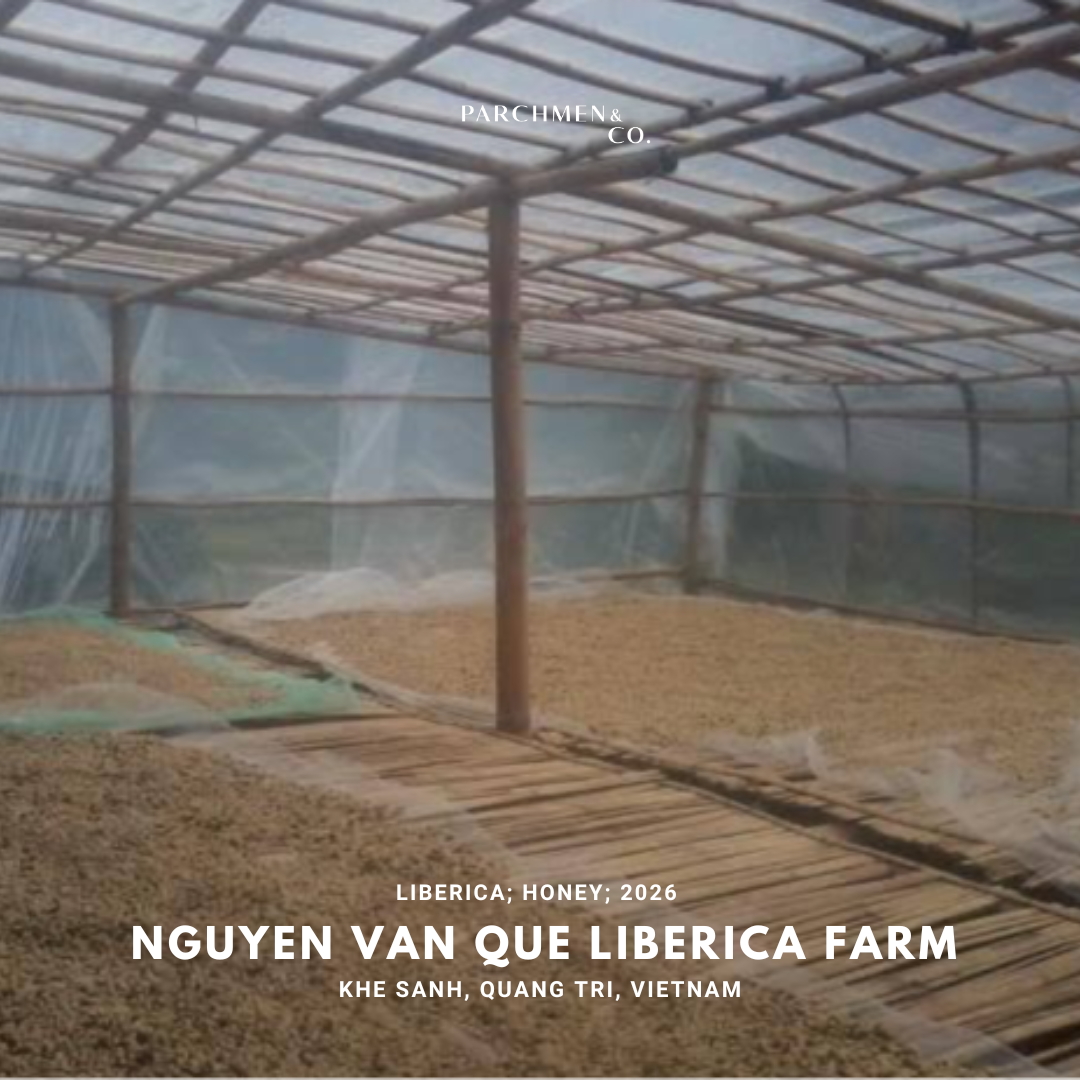 Vietnam Microlot Liberica - Nguyen Van Que Liberica Farm
