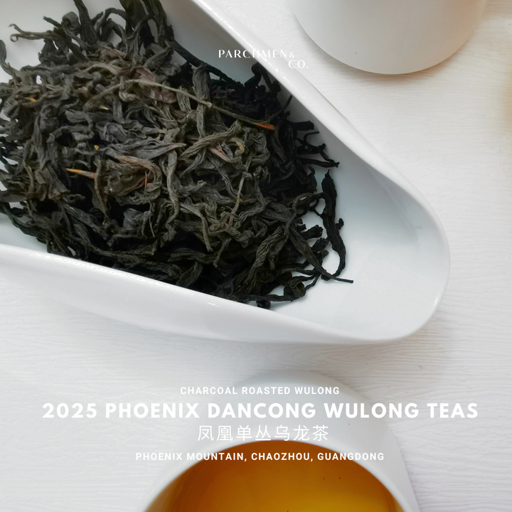 2025 Spring Pheonix Mountain Dancong Wulong Teas 凤凰单丛乌龙茶