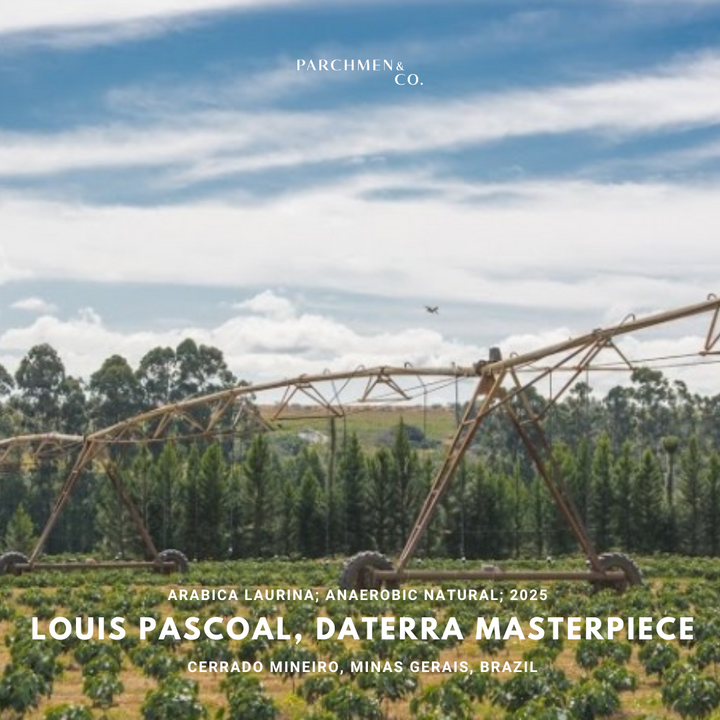 Louis Pascoal, Daterra Masterpiece, Laurina