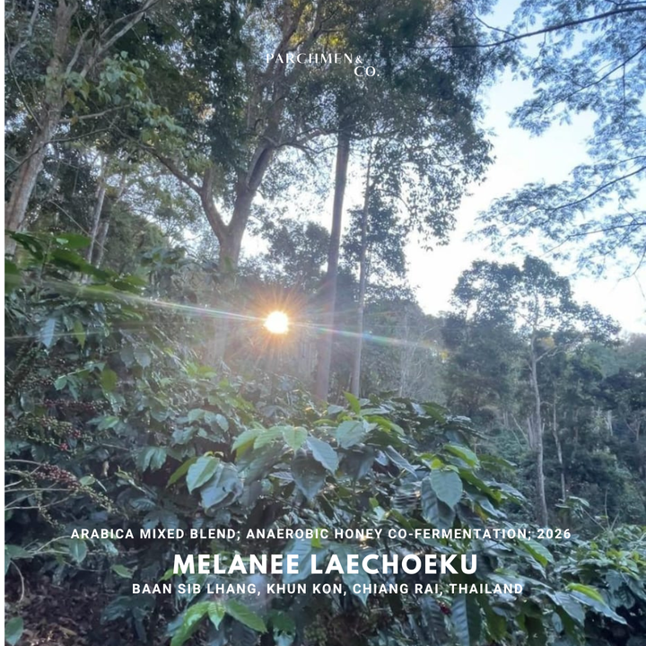 Thailand Exotic Microlot - Melanee Laechoeku Baan Sib Lang