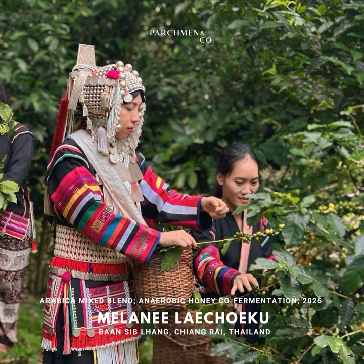 Thailand Exotic Microlot - Melanee Laechoeku Baan Sib Lang