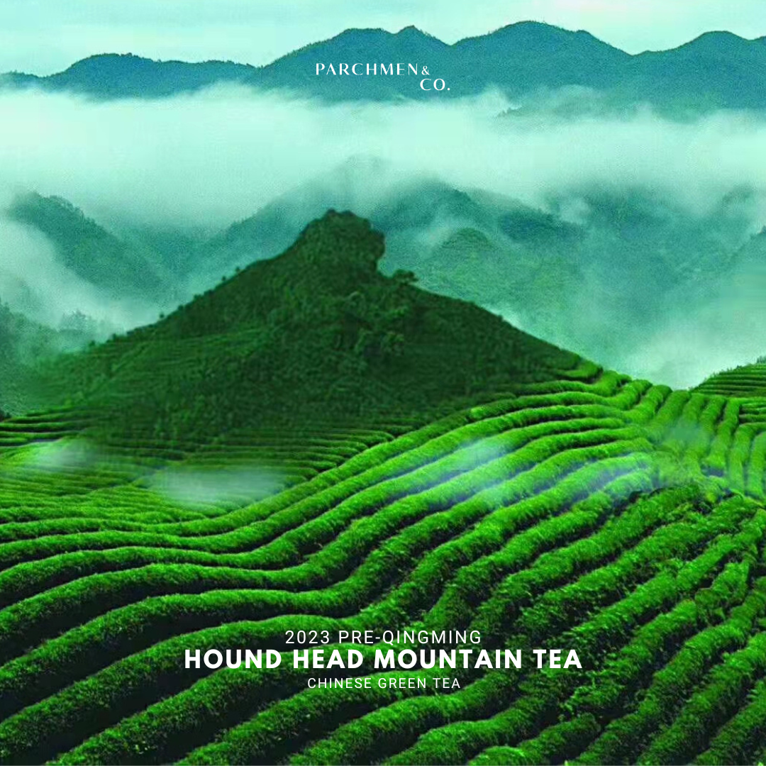 2023 Pre-Qingming Hound's Head Mountain Green Tea 狗牯脑茶