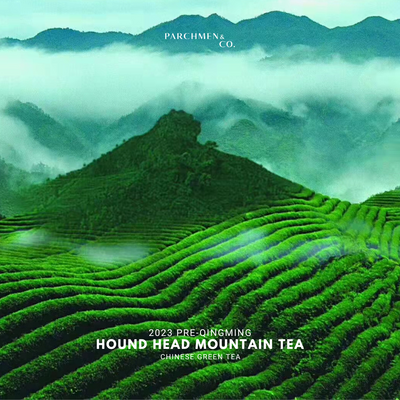 2023 Pre-Qingming Hound's Head Mountain Green Tea 狗牯脑茶