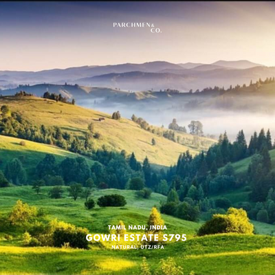 India Gowri Estate Natural S795 UTZ/RFA