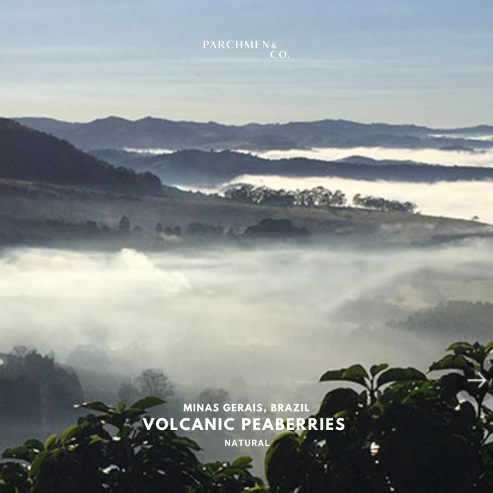 Brazil Minas Gerais Volcanic Peaberries