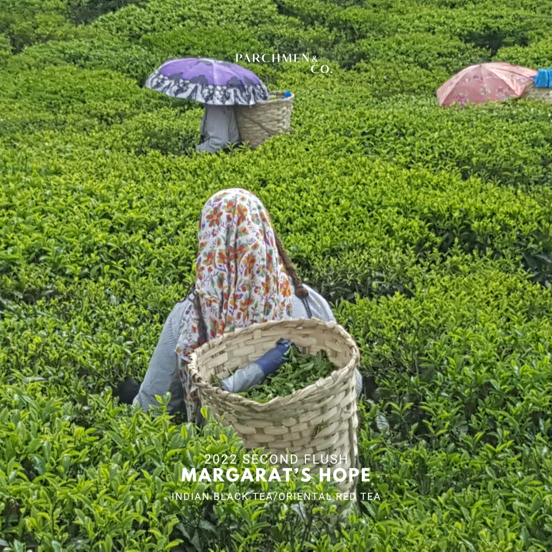 2022 Second Flush Margaret's Hope Darjeeling FTGFOP 1 HS