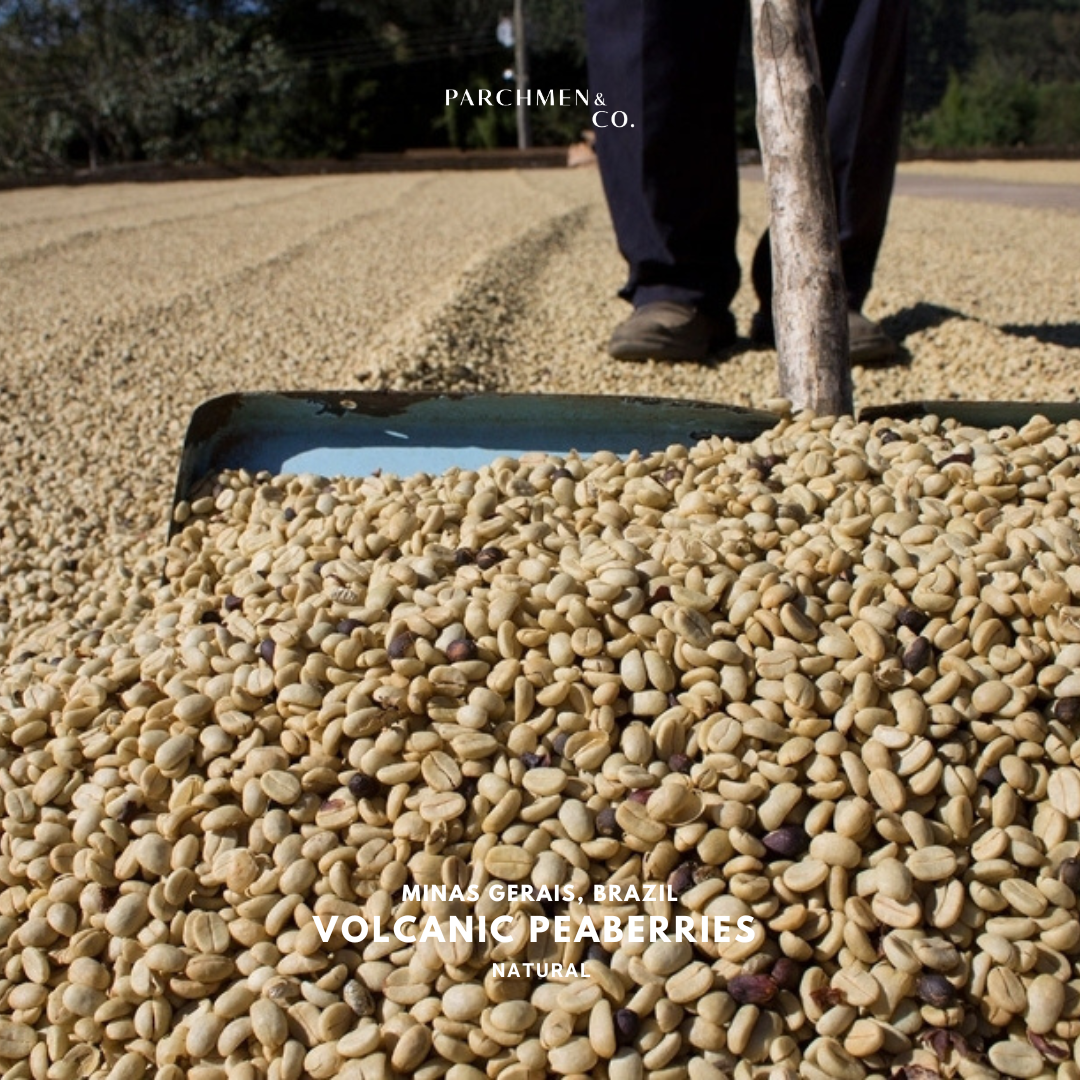 Brazil Minas Gerais Volcanic Peaberries