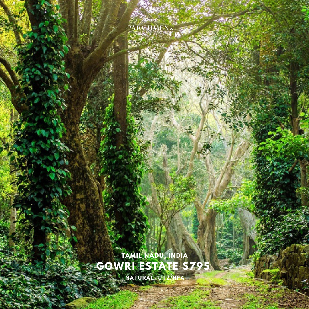 India Gowri Estate Natural S795 UTZ/RFA