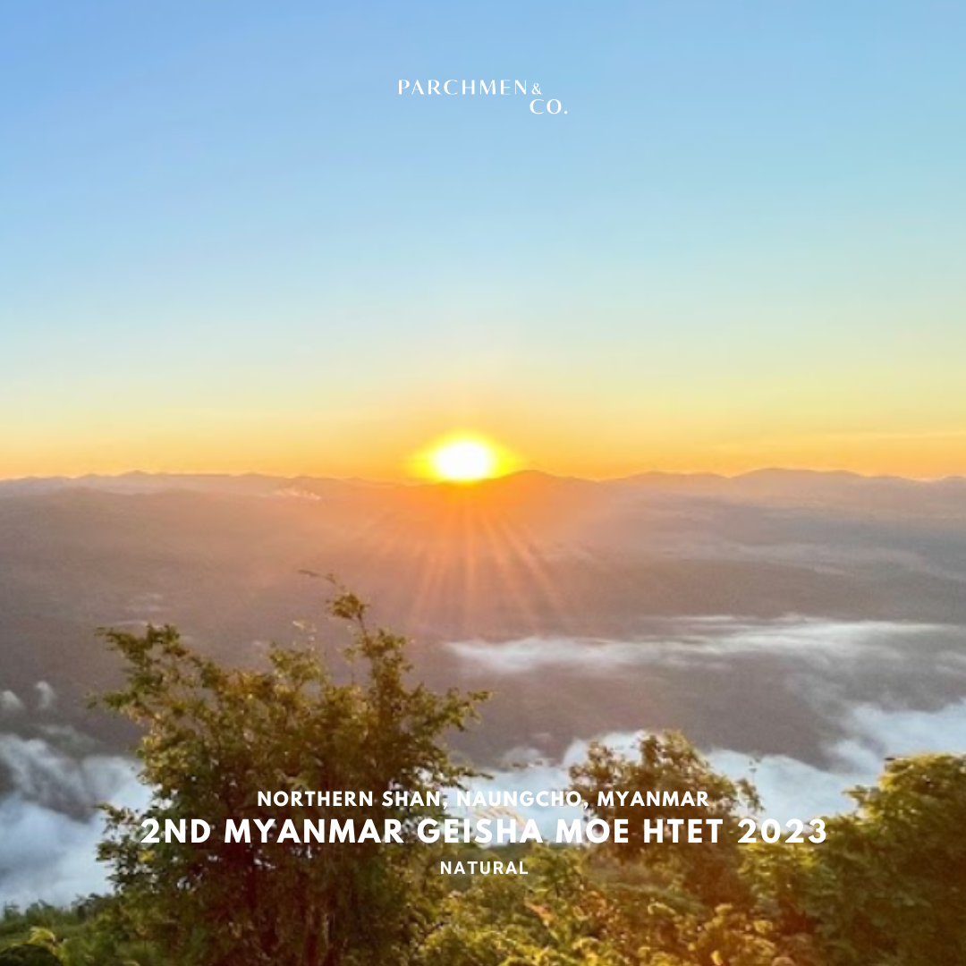 Myanmar 2nd Geisha Harvest Moe Htet Natural - Tasting Only