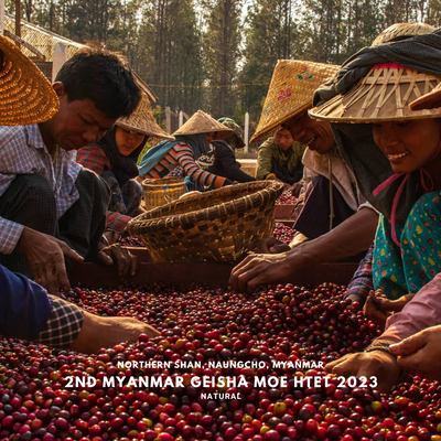 Myanmar 2nd Geisha Harvest Moe Htet Natural - Tasting Only