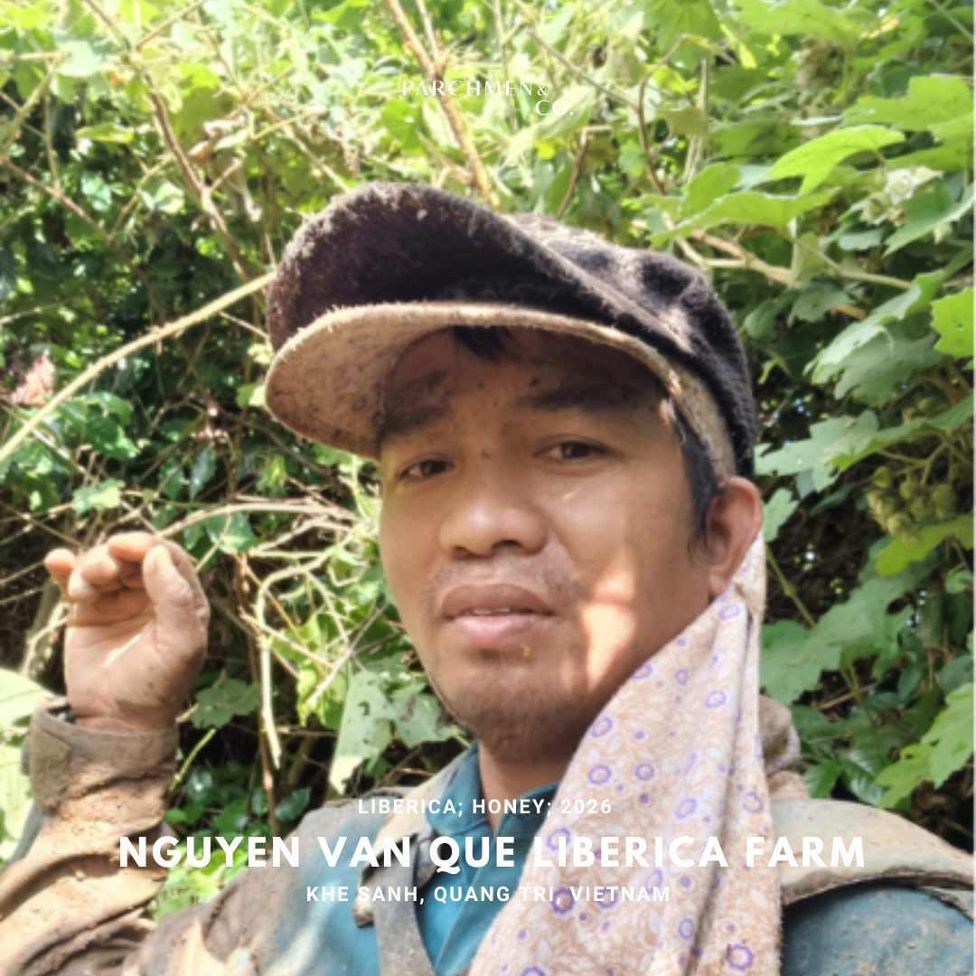 Vietnam Microlot Liberica - Nguyen Van Que Liberica Farm