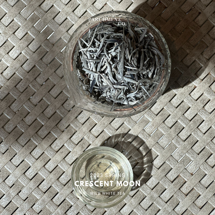 2024 Crescent Moon White Tea - Ha Giang Vietnam