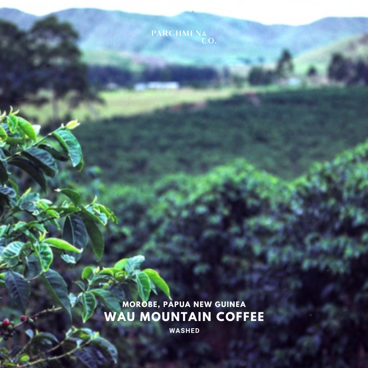 PNG Mountain Coffee Wau Washed
