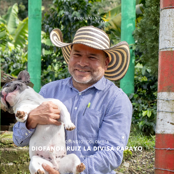 Diofanor Ruiz La Divisa