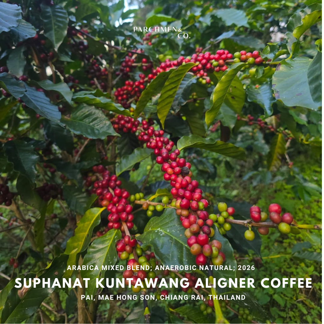 Thailand Exotic Microlot - Suphanat Kuntawang Aligner Coffee Anaerobic Natural
