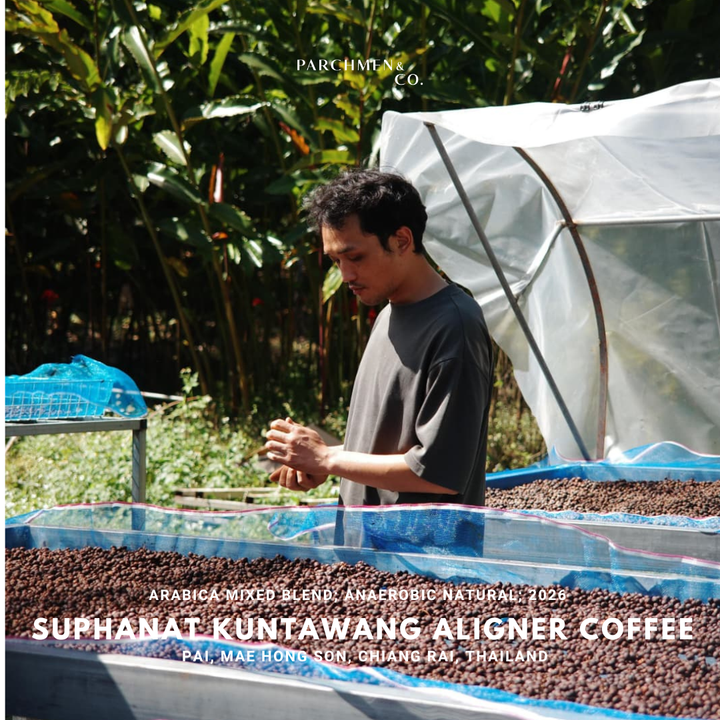 Thailand Exotic Microlot - Suphanat Kuntawang Aligner Coffee Anaerobic Natural