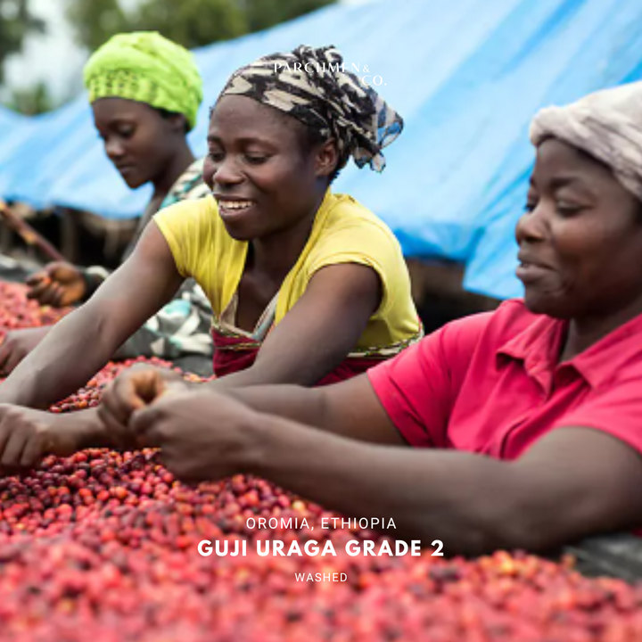 Ethiopia Guji Uraga