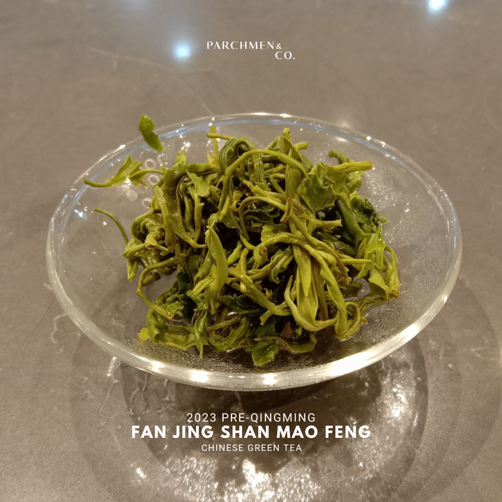 2024 Pre-Qing Ming Fan Jing Mountain Maofeng Green Tea 明前梵净山毛峰绿茶