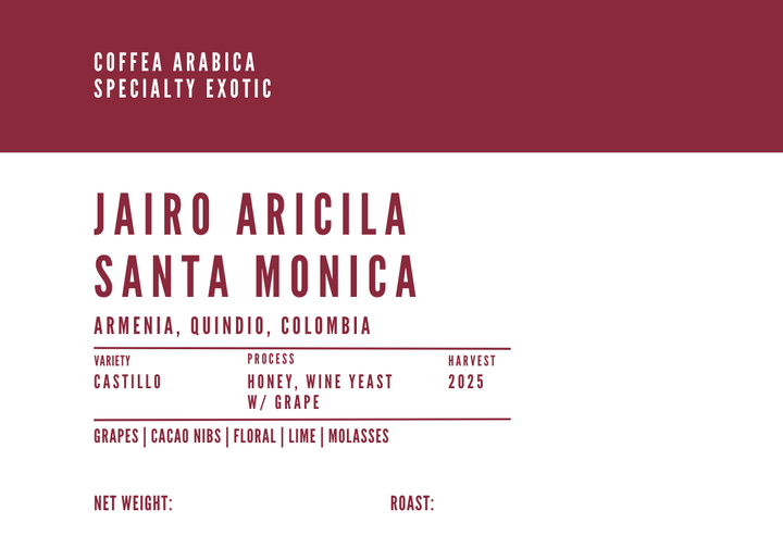 Jairo Arcila Santa Monica (Grape)