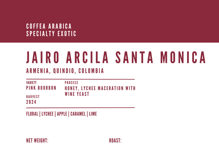 Jairo Arcila Santa Monica (Lychee)