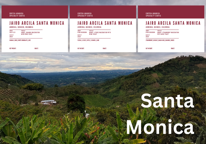 Jairo Arcila Santa Monica (Lychee)
