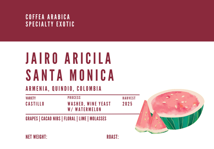 Jairo Arcila Santa Monica (Watermelon)