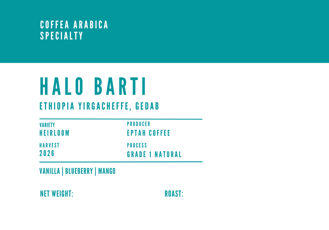 Ethiopia Yirgacheffe Microlot Arabica - Halo Bariti Natural G1