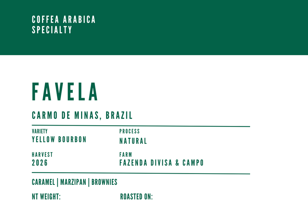 Brazil Favela Natural