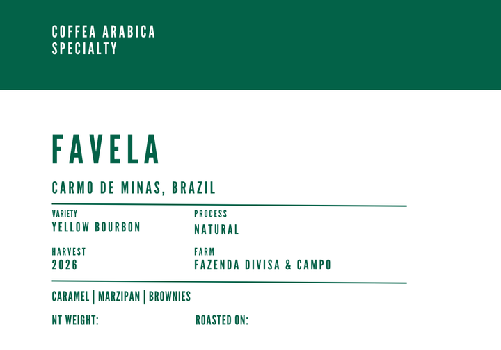Brazil Favela Natural