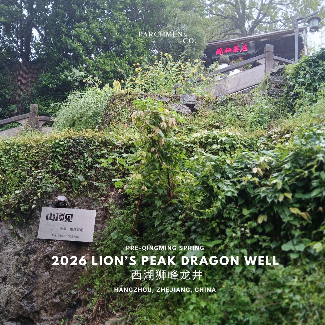 2026 Pre-qingming Lion's Peak Dragon Well 明前西湖狮峰龙井