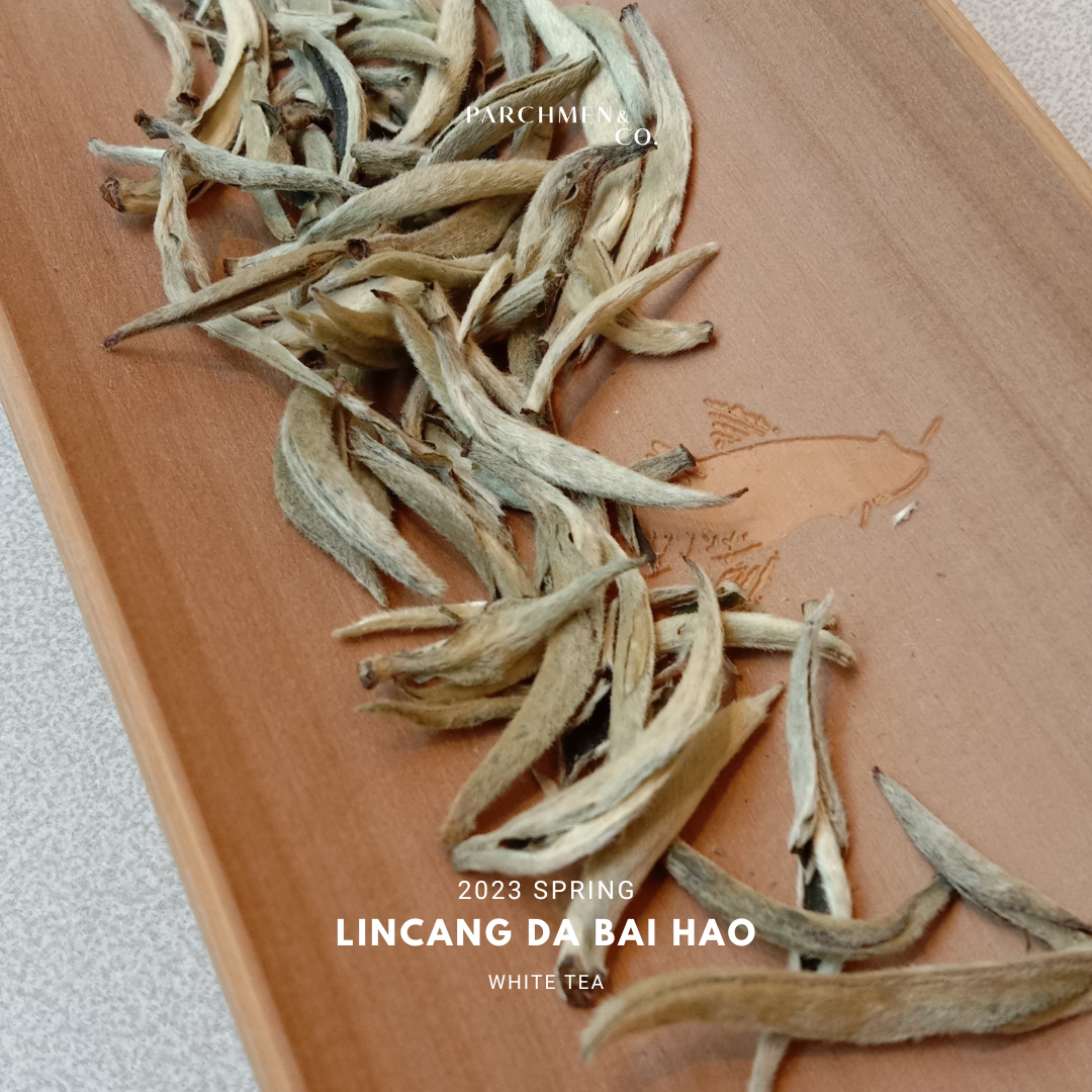 2023 Yunnan (Lincang) Da Bai Hao 'Silver Needle' 临沧大白毫