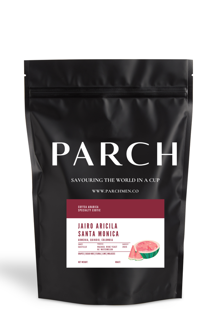 Jairo Arcila Santa Monica (Watermelon)