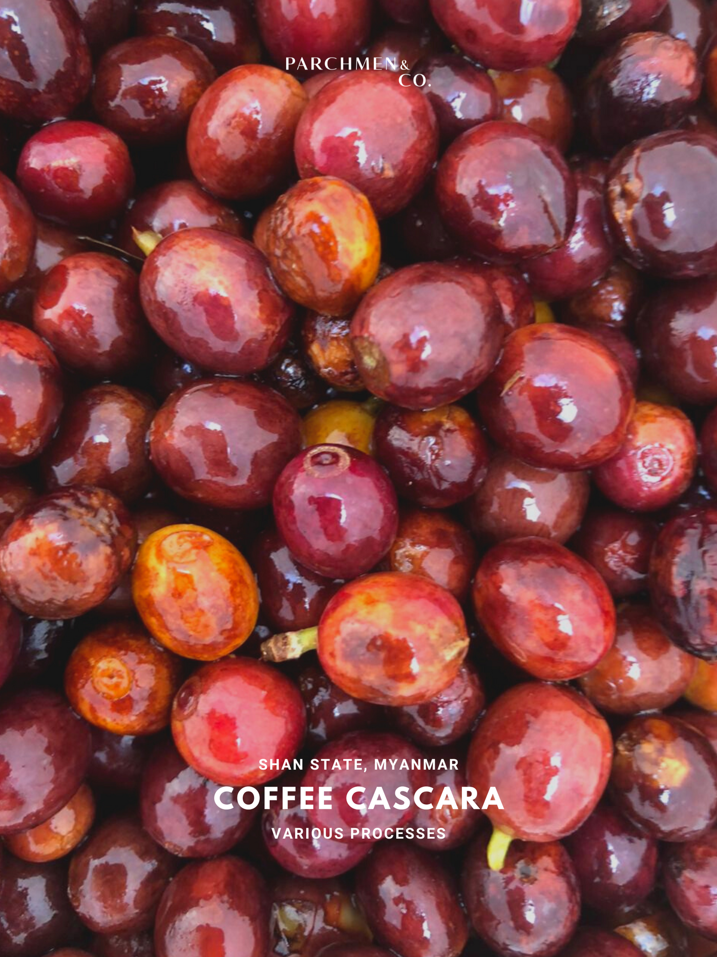 Coffee Cascara (Pulp)