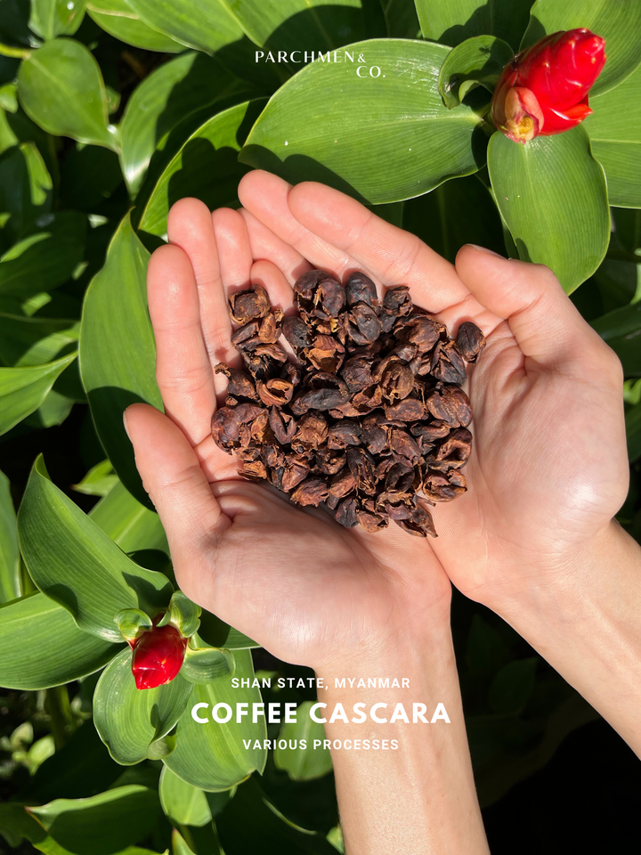 Coffee Cascara (Pulp)