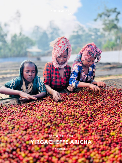 Ethiopia Yirgacheffe Aricha G1 Natural