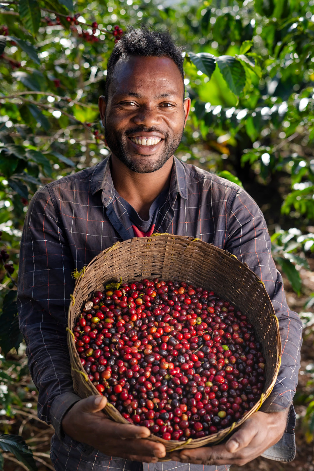 Ethiopia Yirgacheffe Microlot Arabica - Halo Bariti Natural G1
