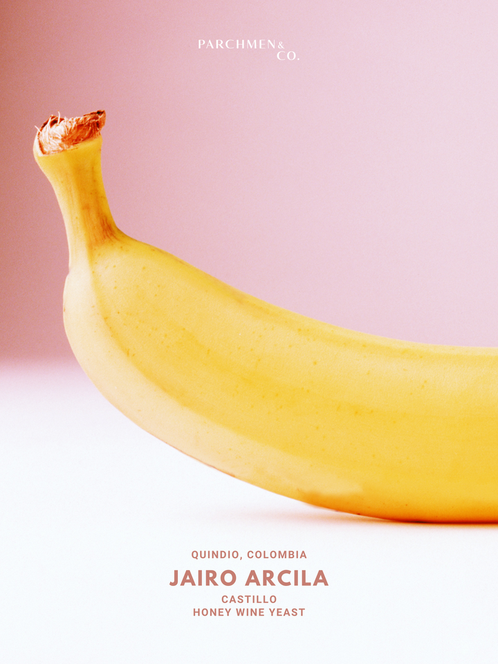 Jairo Arcila Santa Monica (Banana)