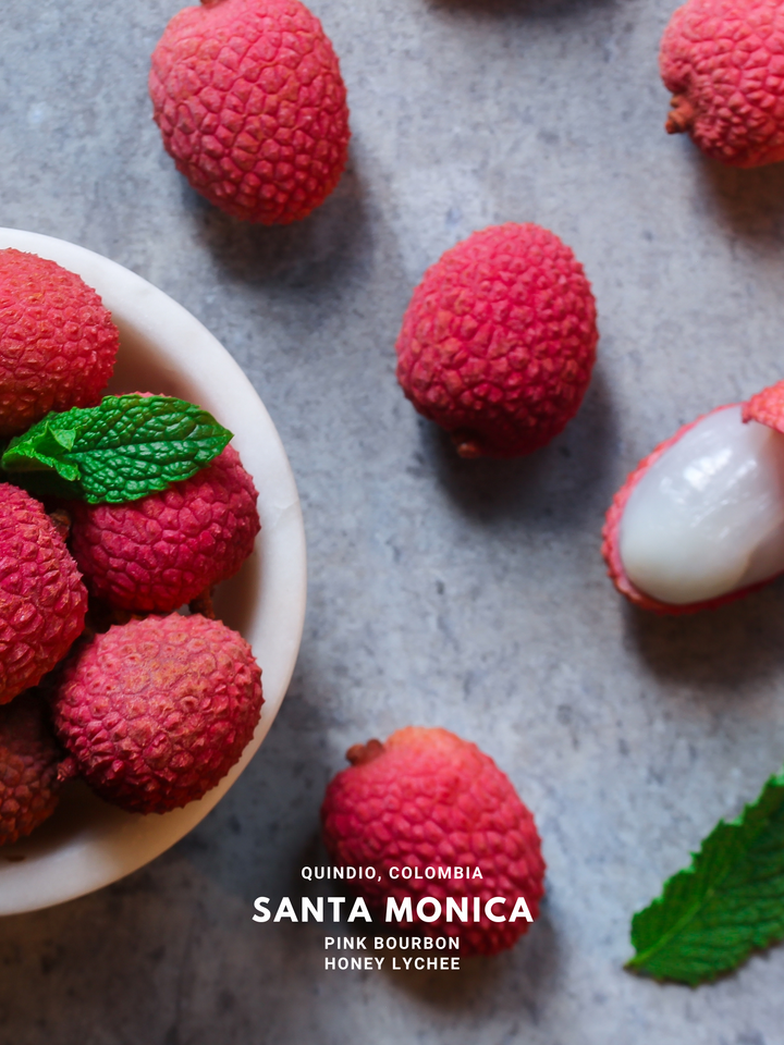 Jairo Arcila Santa Monica (Lychee)
