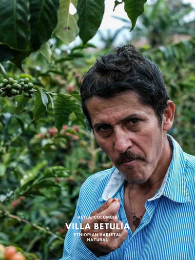 Colombia Luis Anibal Ethiopian Natural